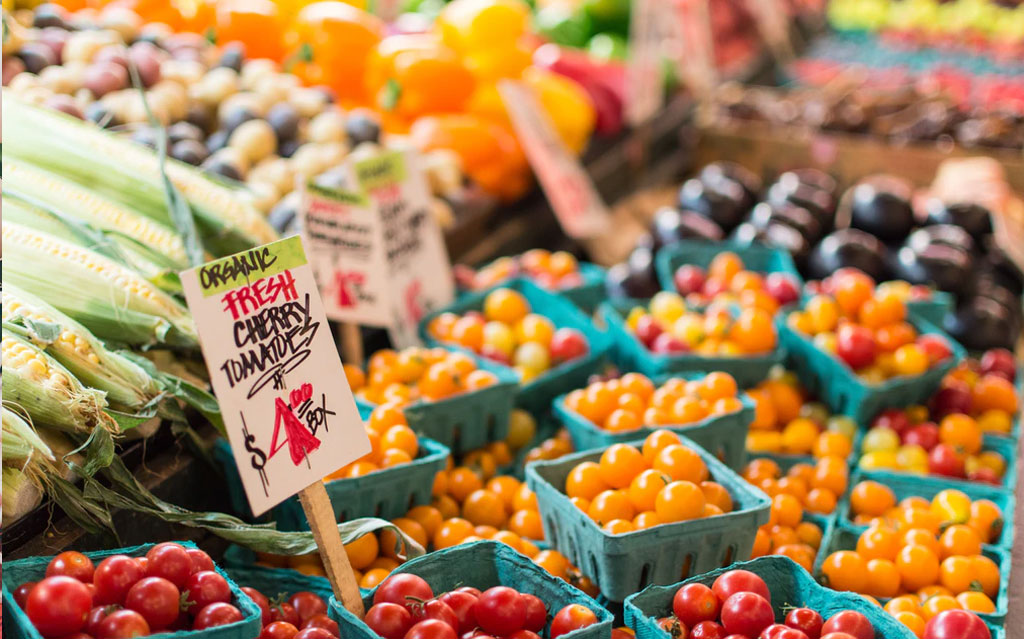 New love for pretty, old-fashioned Grandmother’s Gardens