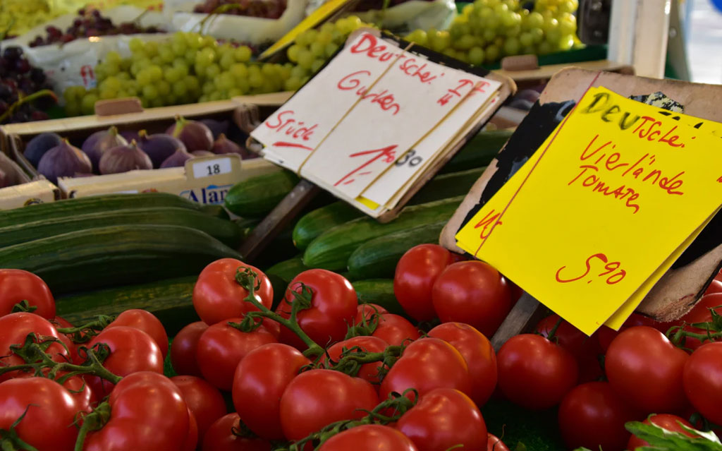 How to start regrowing green onions and other vegetables on your windowsill