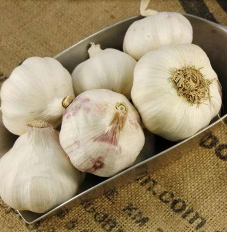 Real Foods Organic Garlic
